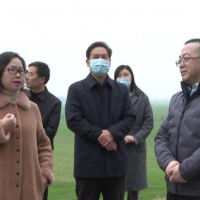 長(zhǎng)江委、省水利廳檢查組來(lái)枝江檢查河道采砂管理工作