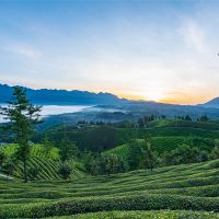 500萬(wàn)噸/年！湖北儲(chǔ)量約1.12億噸建筑用花崗巖礦擬掛牌出讓